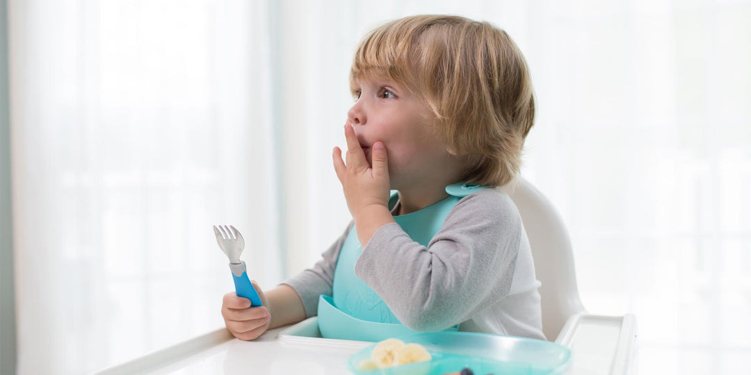 Tips to Determine Toddler Meal Portions
