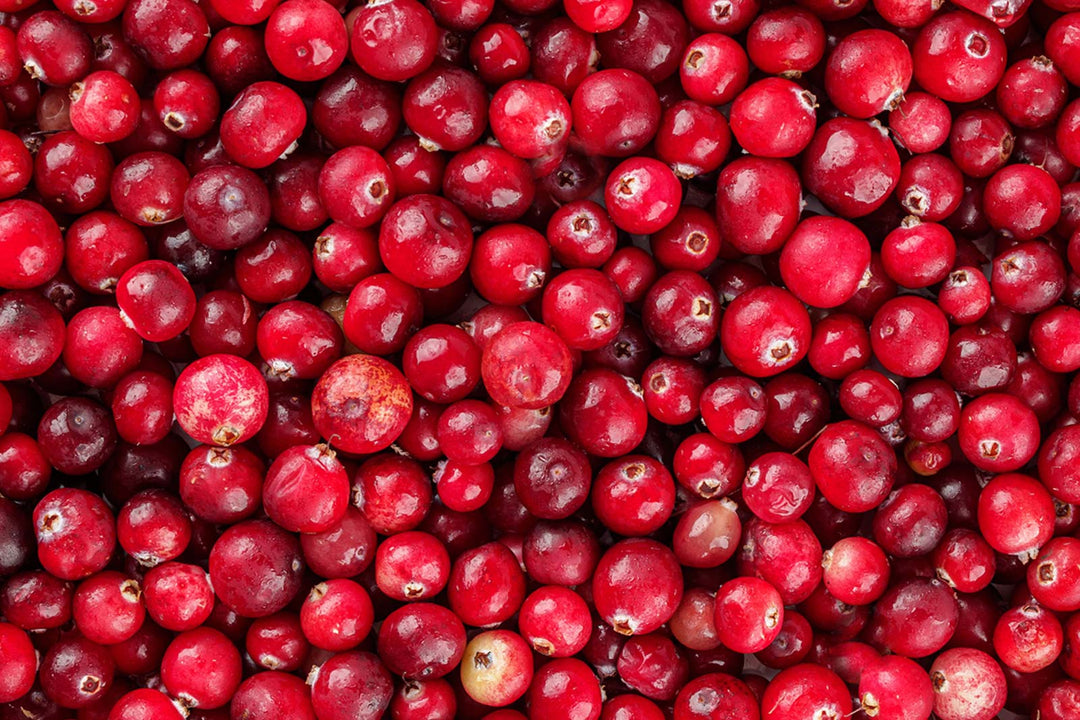 Cranberries: A Holiday Favorite for Any Time of Year