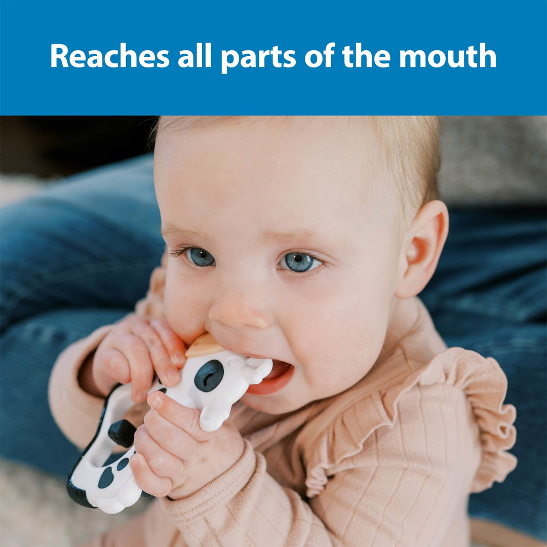 Baby holding a cow shaped teether with text 'Reaches all parts of the mouth' on a blue background