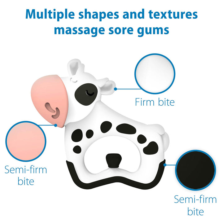 Teething toy with labeled bite points on a white background