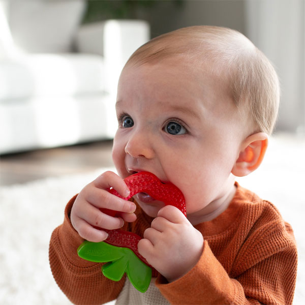 A baby with light hair and blue eyes is sitting on a soft, light-colored surface, chewing on a red strawberry-shaped teething toy. The baby is wearing a long-sleeve brown shirt. The background is slightly blurred.