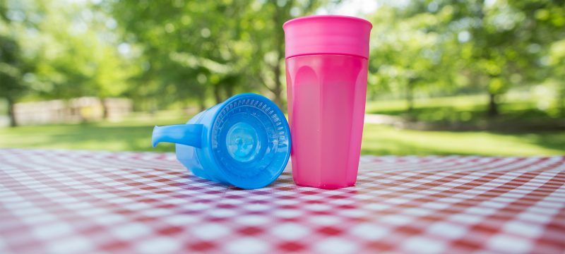 blue cheers360 cup turned over and pink cheers360 cup on a picnic blanket in a park