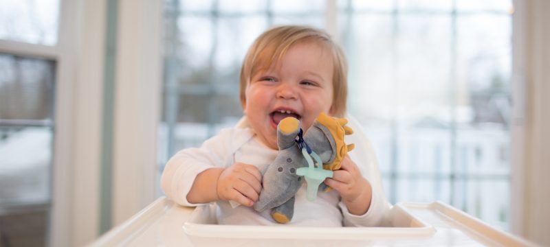 Baby sitting in high chair holding the dinosaur lovey