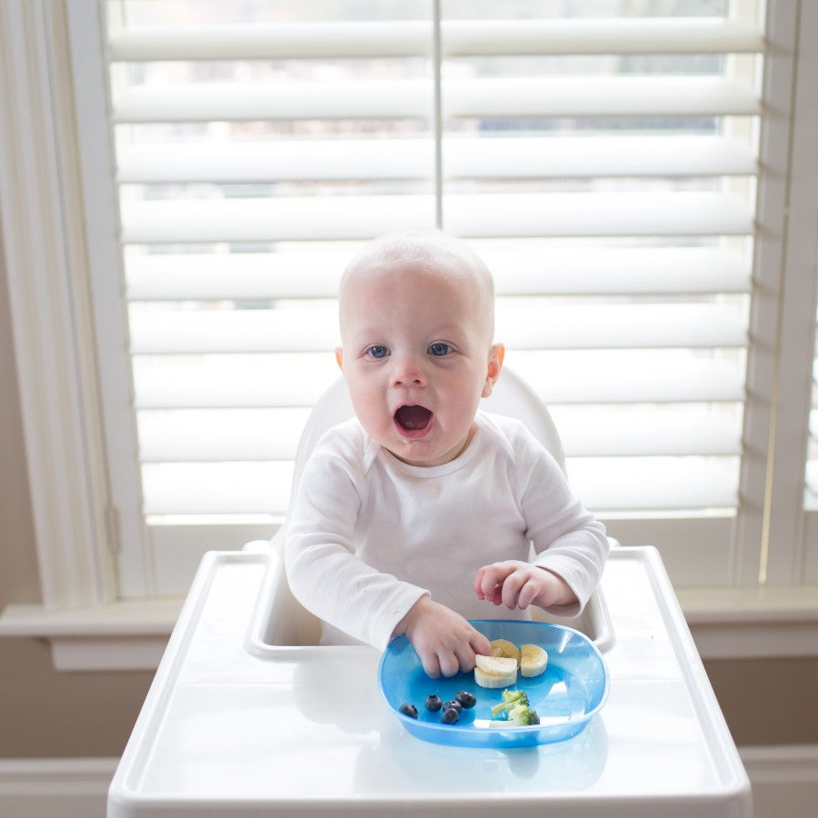 A baby in a high chair, wearing a white onesie, is sitting in front of a window with white blinds. The baby is reaching for food on a blue plate, which has small pieces of fruit and vegetables.