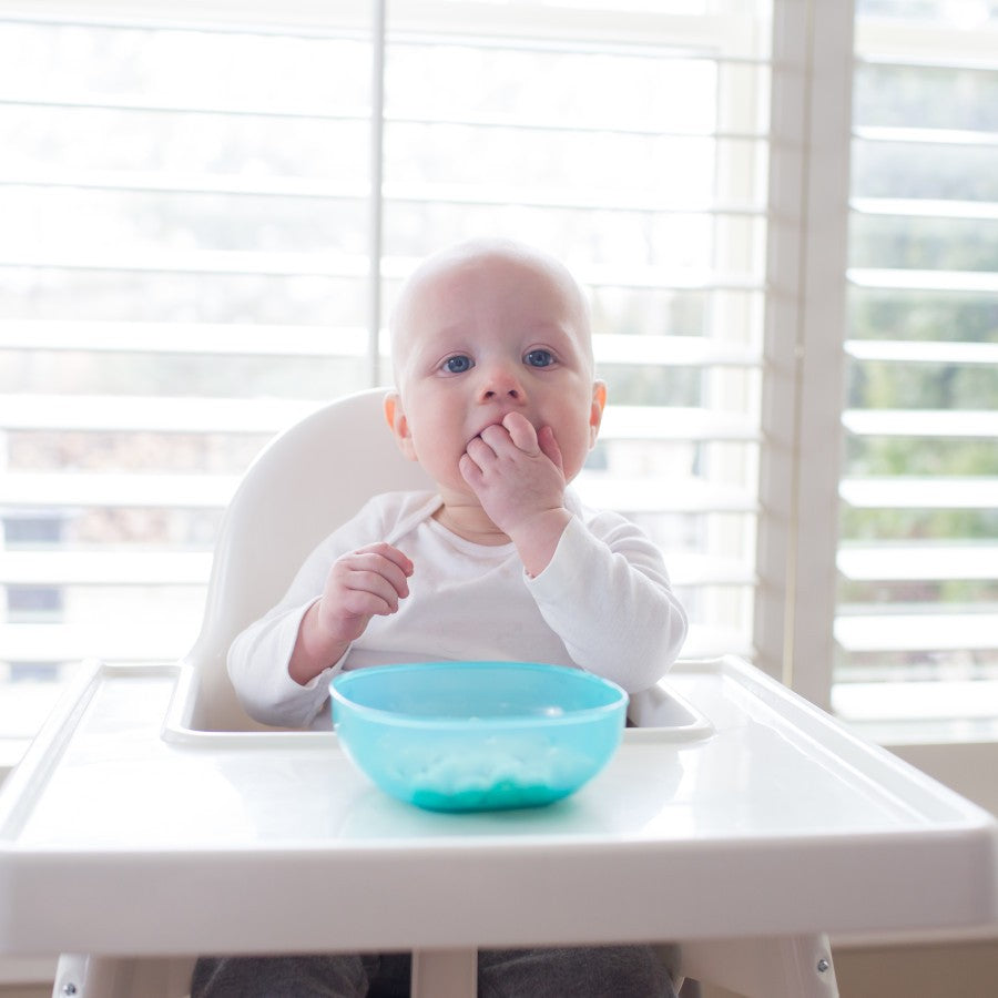 A baby sitting in a high chair, wearing a white shirt, with a blue bowl in front. The baby is touching its mouth and looking ahead. Bright window blinds provide a soft background.