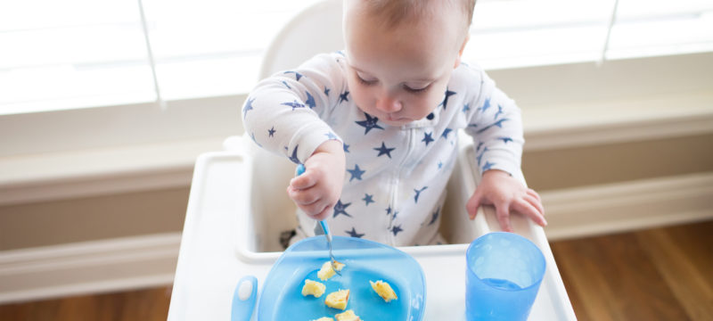 Baby in high chair eating from blue toddler plate