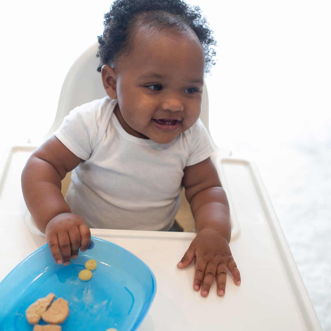 A baby with curly hair sits in a high chair, smiling in a white shirt. In front of them is Dr. Brown's Toddler Plate, which is blue and perfect for introducing first foods, with a few small snack pieces on it.