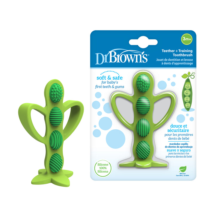 Image of Dr. Brown’s™ Teether + Training Toothbrush, Peapod, 1-Pack for babies aged 3 months and up. The green peapod-shaped teether offers a variety of textured surfaces, with packaging highlighting its safety, softness, and silicone material.