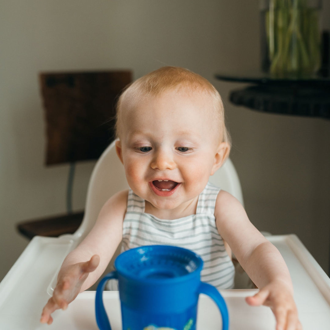 A cheerful baby with light hair sits in a high chair, wearing a sleeveless striped shirt, eagerly reaching for their Dr. Brown's Milestones™ Cheers360™ Cup in blue. The background is softly blurred, with a dark chair and plants visible, highlighting the baby's playful exploration of this leak-free learning adventure from Dr. Brown's.