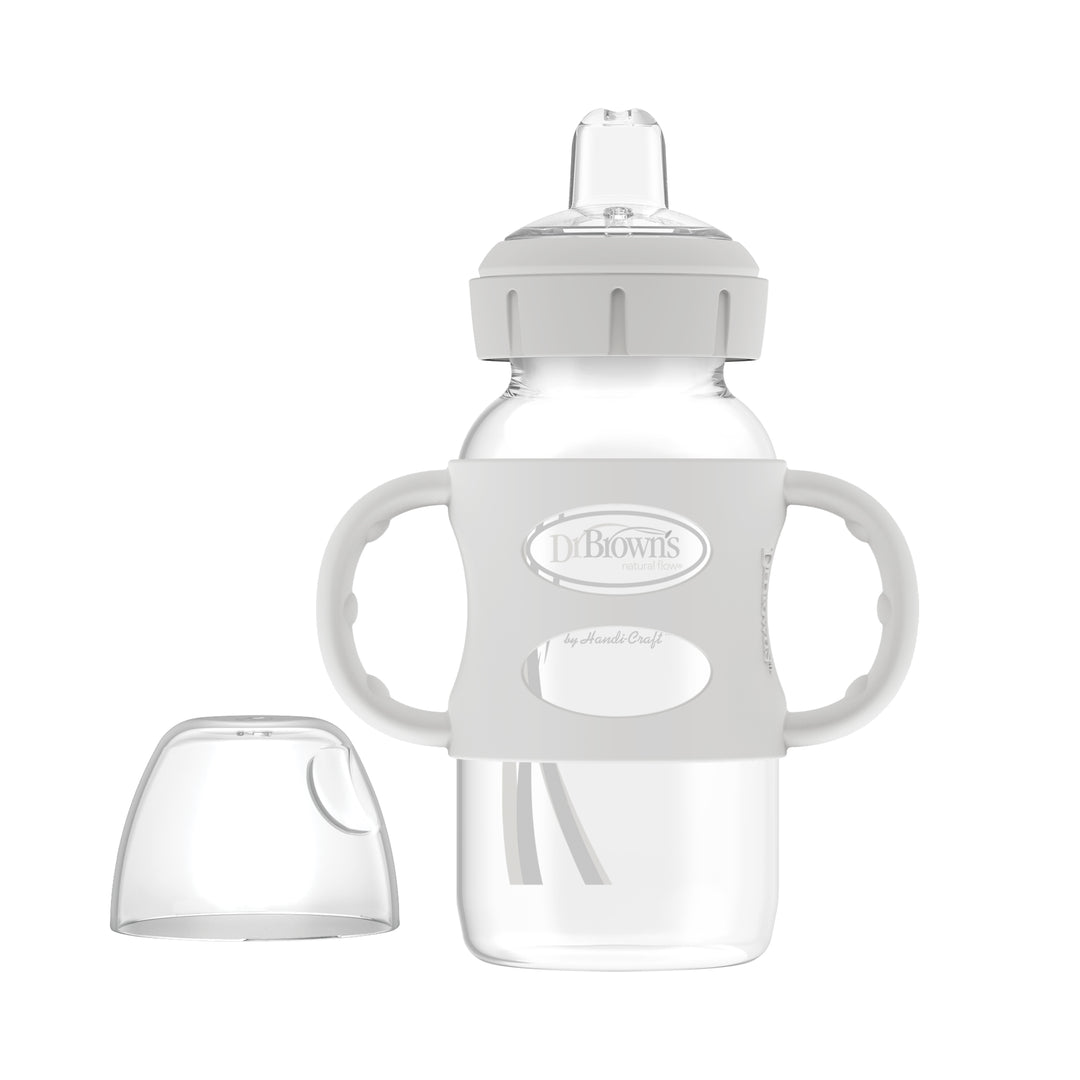 dr-browns-milestones-wide-neck-sippy-bottle-with-handles-gray