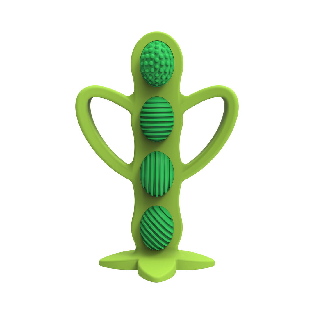 Introducing the Dr. Brown’s™ Teether + Training Toothbrush in Peapod, a silicone teether with four circular textured sections stacked vertically. This product features wing-like handles on the sides and a stable base, designed for your baby's comfort and safety.