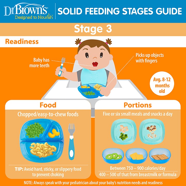 Infants: Stages of Feeding – Transitioning from liquids to solids - The  Warren Center