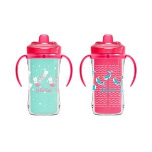 https://www.drbrownsbaby.com/wp-content/uploads/2020/12/TC02101-WEB_Product_10oz_Insulated_Hard_Spout_Cup_Pink_2-Pack-1-300x300.jpg